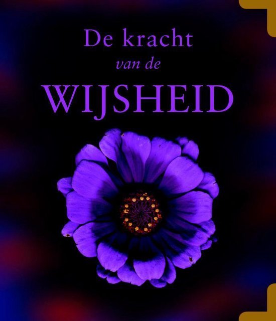 De kracht van de wijsheid