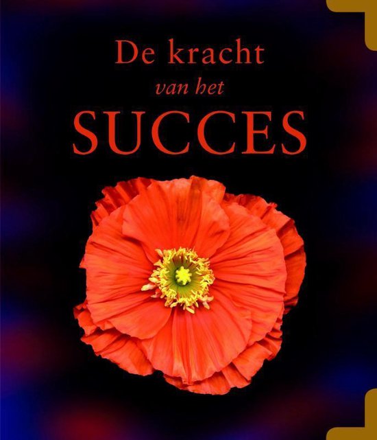 De kracht van het succes