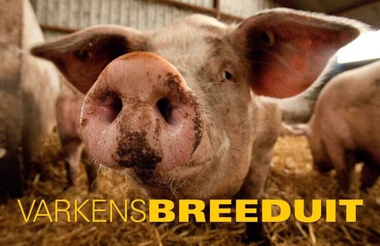 Breeduit - Varkens Breeduit