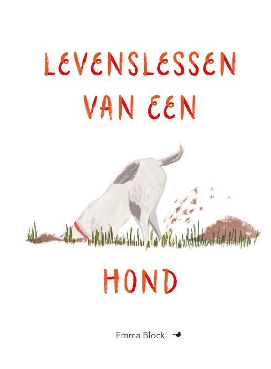 Levenslessen van een hond