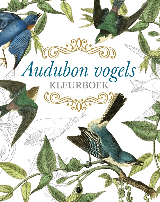 Audubon vogels kleurboek