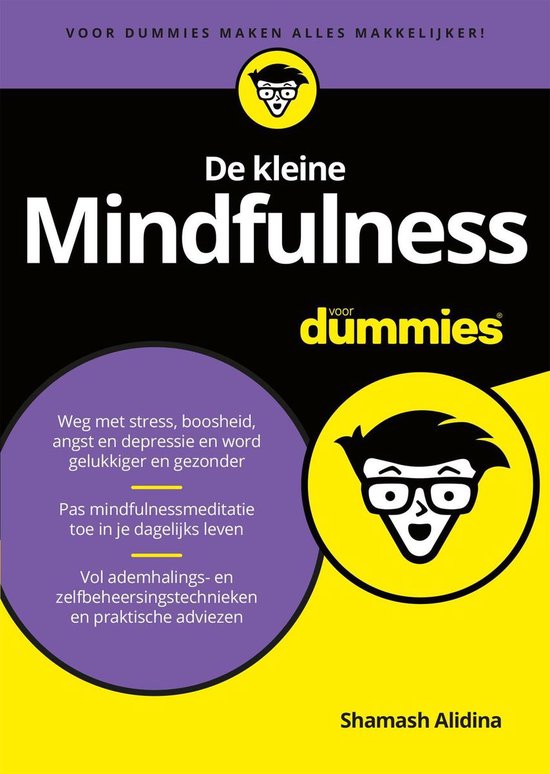 Voor Dummies - De kleine Mindfulness voor Dummies