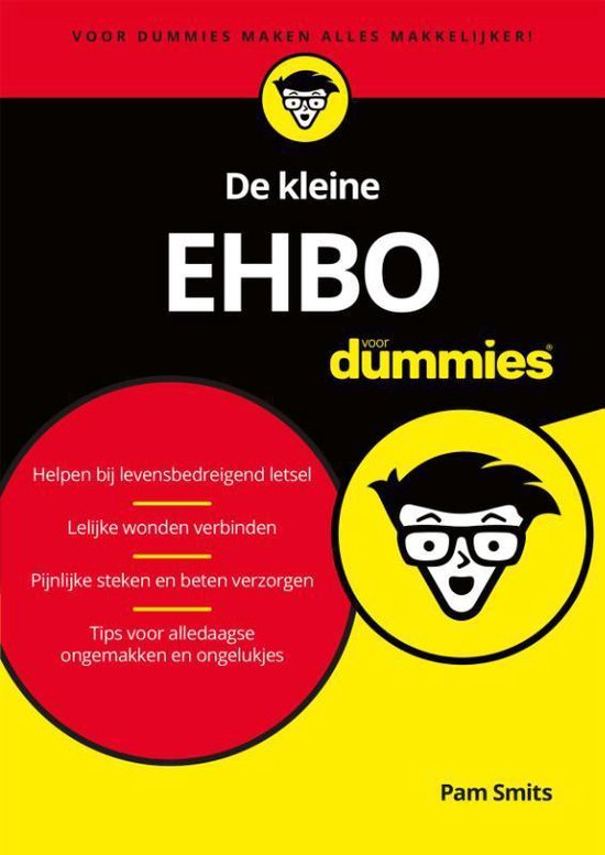 De kleine EHBO voor Dummies