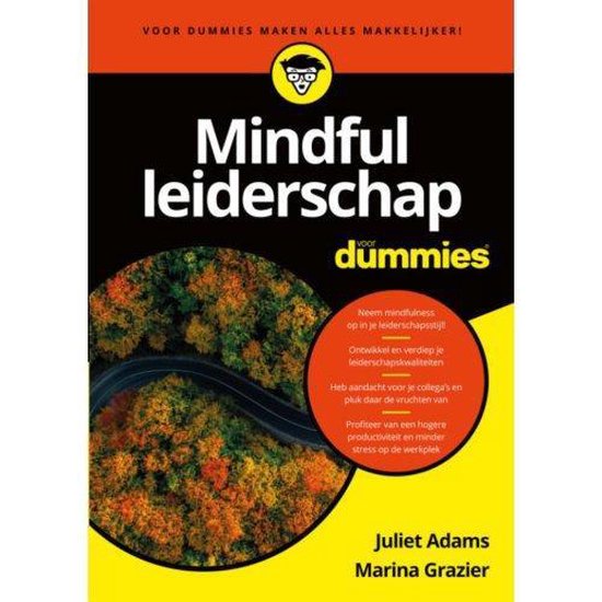 Mindful leiderschap voor Dummies