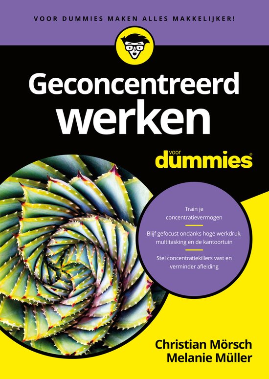 Voor Dummies - Geconcentreerd werken voor Dummies