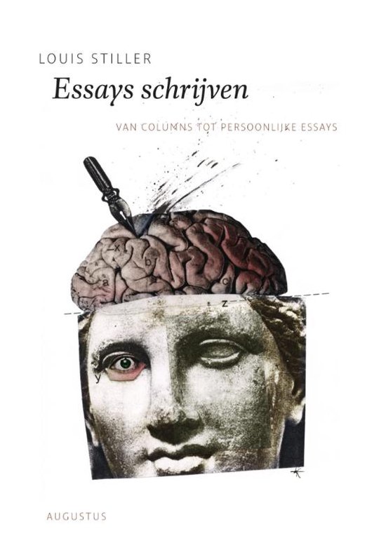 De schrijfbibliotheek - Essays schrijven