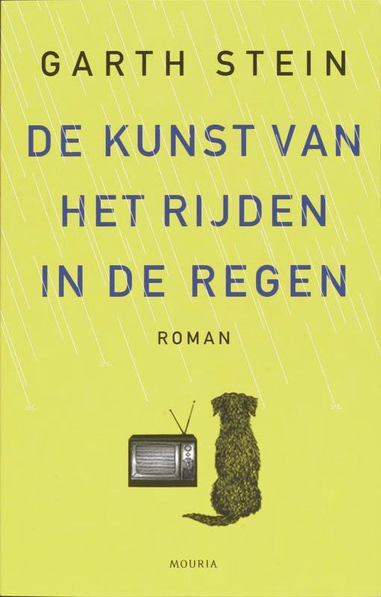 De Kunst Van Het Rijden In De Regen