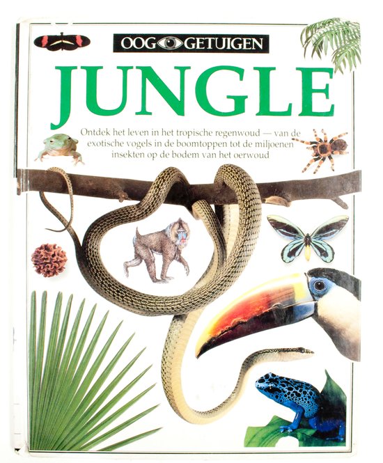 Ooggetuigen jungle