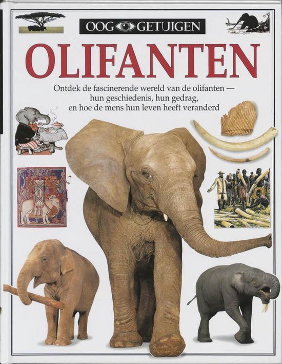 Ooggetuigen Olifanten