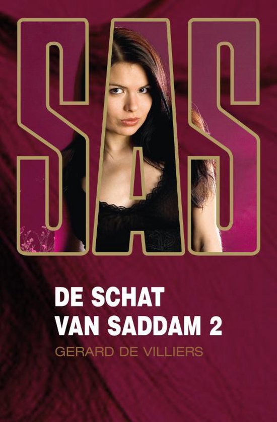 De schat van Saddam 2