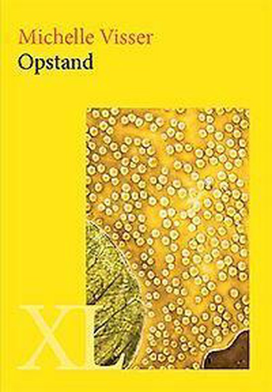 XL 2043 -   Opstand