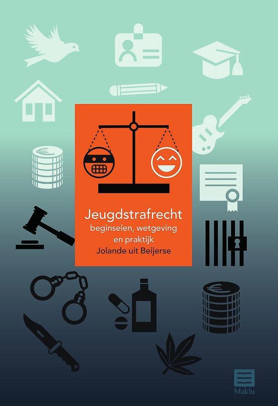 Jeugdstrafrecht, 4e uitgave