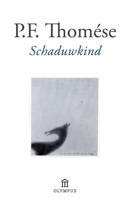 Schaduwkind