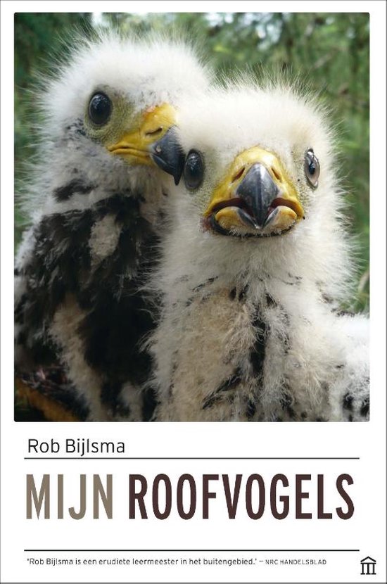 Mijn roofvogels