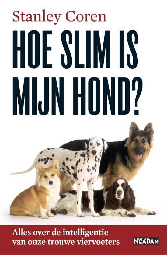 Hoe slim is mijn hond?