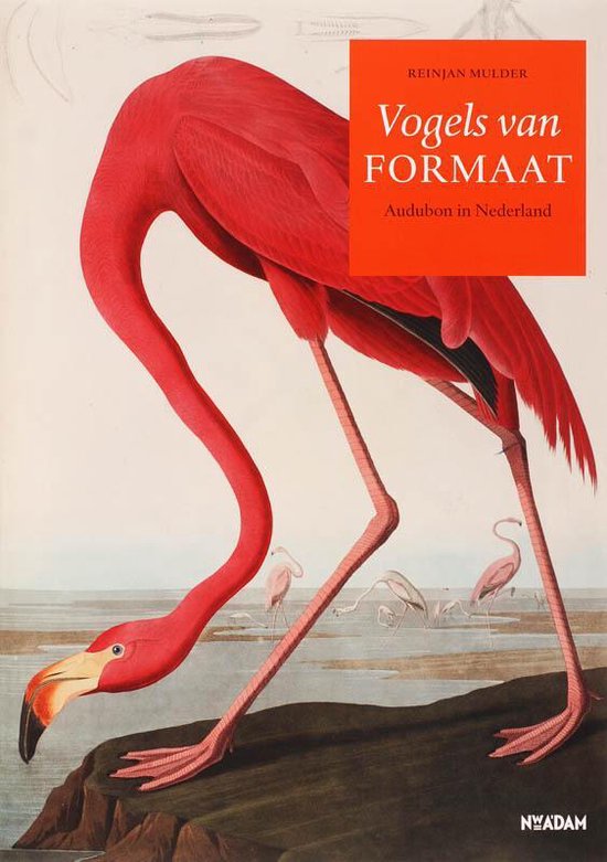 Vogels Van Formaat