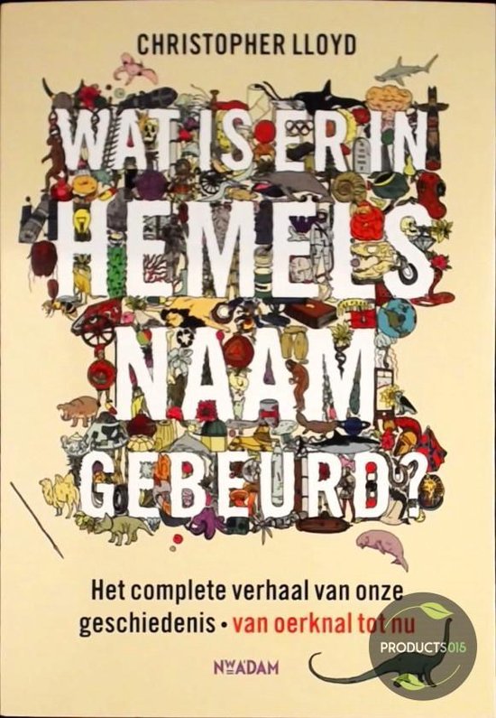 Wat is er in hemelsnaam gebeurd?