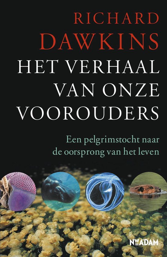 Het verhaal van onze voorouders