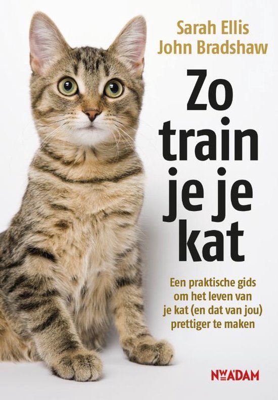 Zo train je je kat