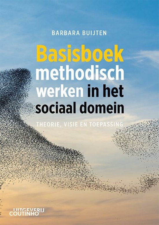 Basisboek methodisch werken in het sociaal domein