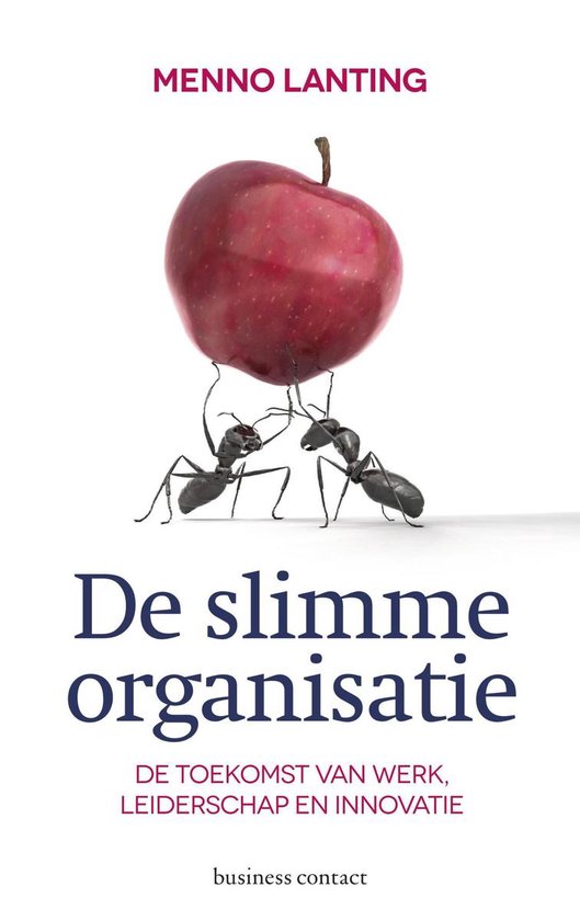 De slimme organisatie