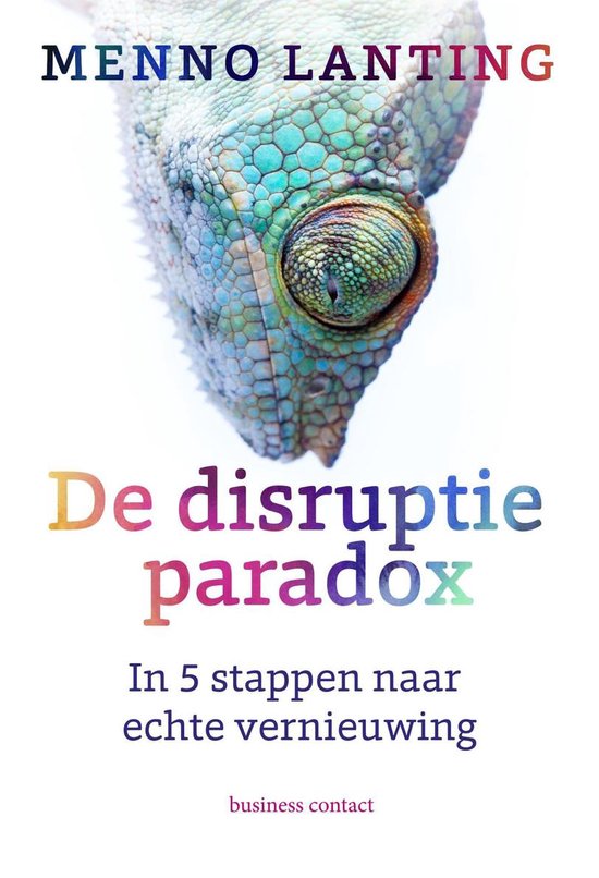 De disruptieparadox