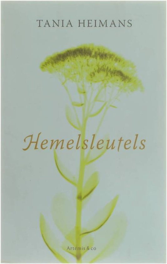 Hemelsleutels