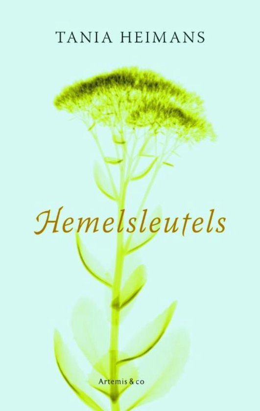 Hemelsleutels