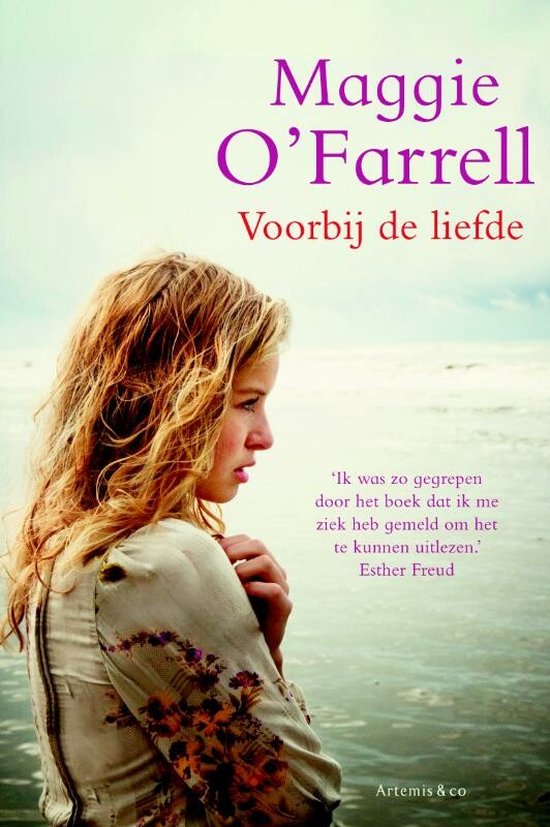 Voorbij De Liefde