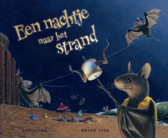 Nachtje Naar Het Strand