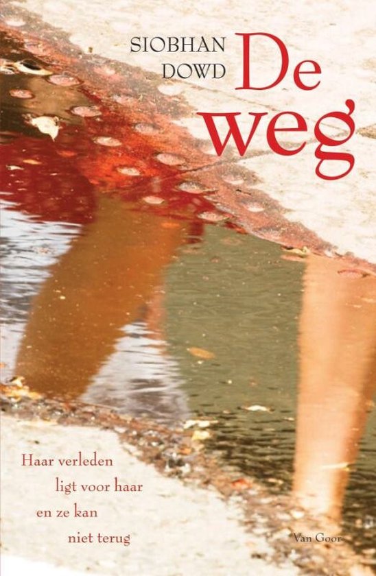 De weg