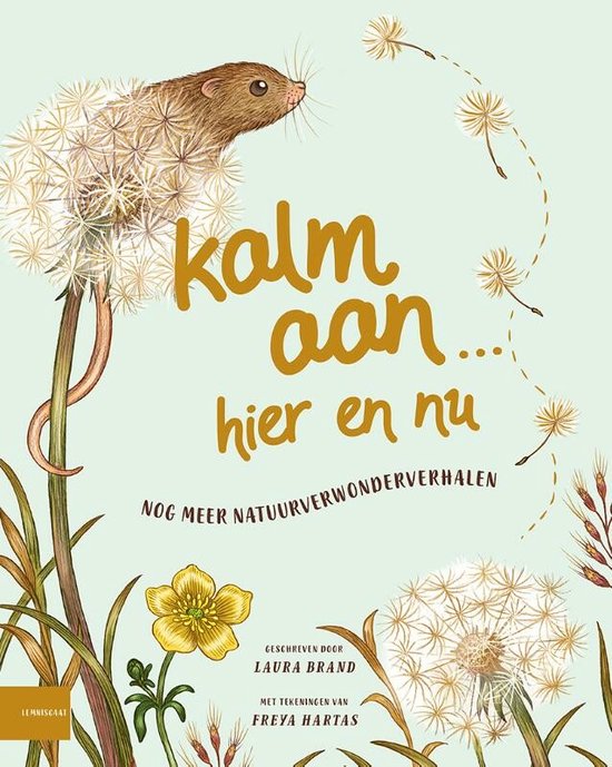 Kalm aan… Hier en nu