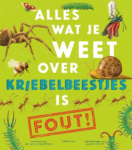 Alles wat je weet over kriebelbeestjes is FOUT!