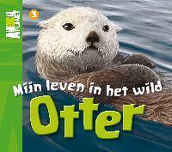 Otter