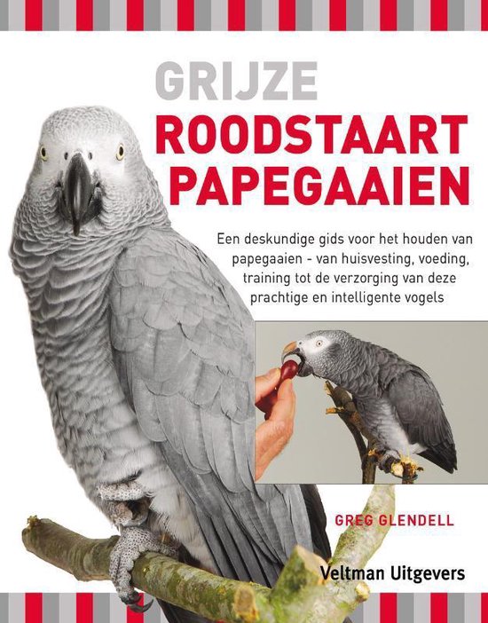 Grijze roodstaartpapegaaien