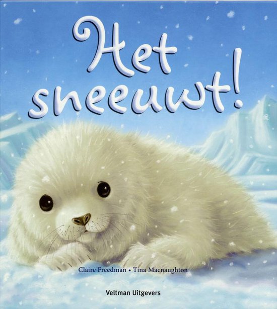 Het Sneeuwt