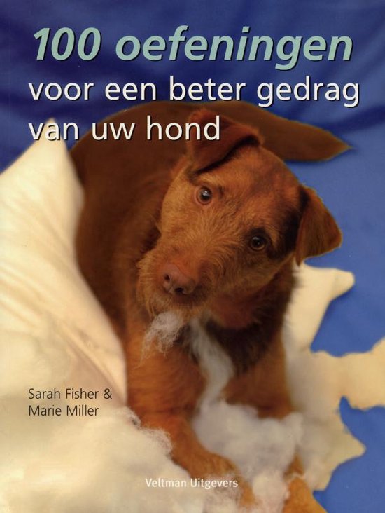 100 oefeningen voor een beter gedrag van uw hond