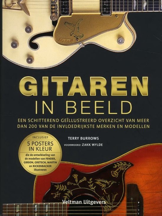 Gitaren in beeld