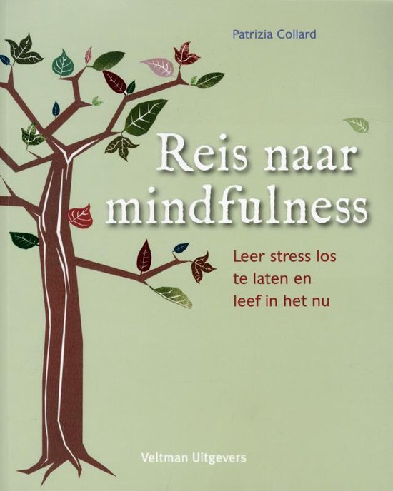 Reis naar mindfulness