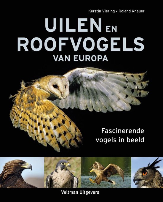 Uilen en roofvogels van Europa