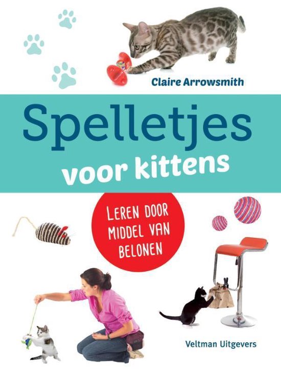 Spelletjes voor kittens