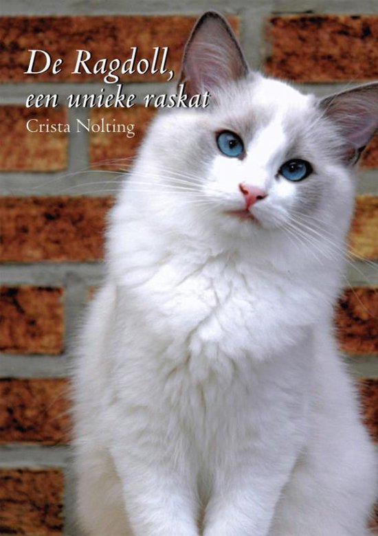 De Ragdoll, een unieke raskat