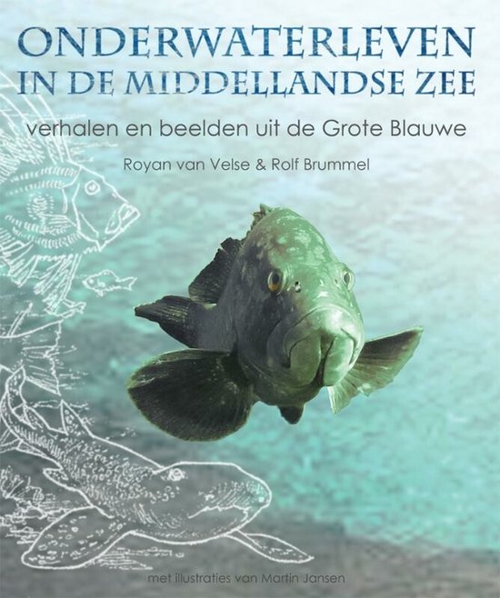 Onderwaterleven In De Middellandse Zee