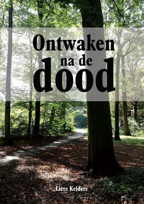 Ontwaken na de dood