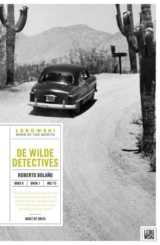 De wilde detectives