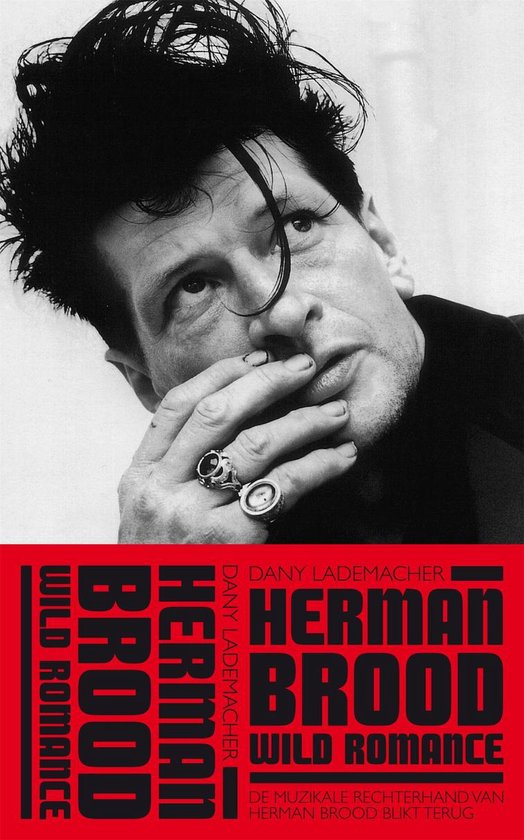 Arcade Muziekreeks - Herman Brood - Wild Romance