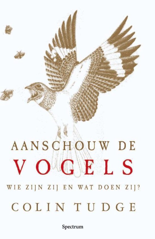 Aanschouw De Vogels