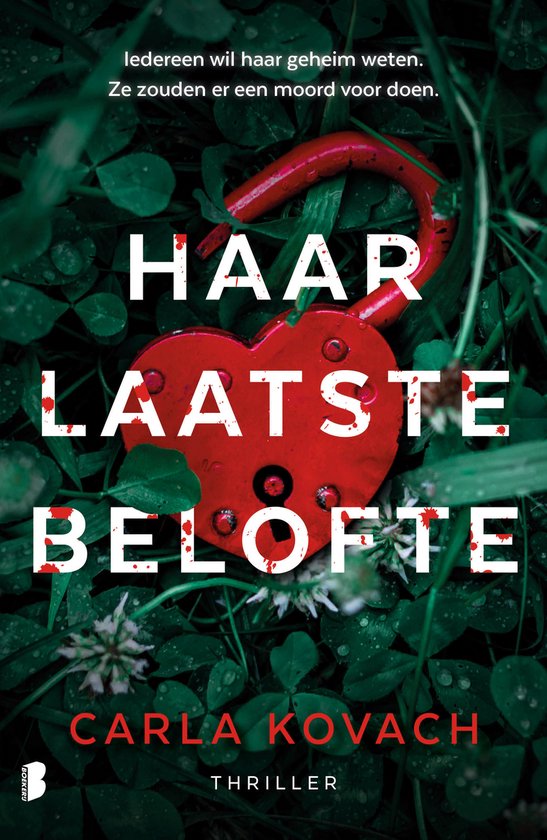 Gina Harte 12 - Haar laatste belofte