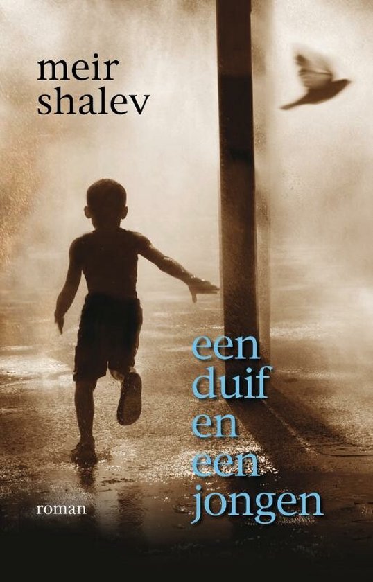 Een duif en een jongen