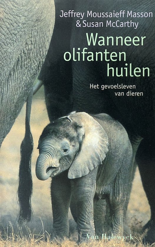 Wanneer olifanten huilen